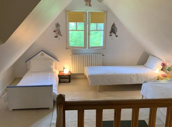 10-12 Pers Centre 300m De La La Baule